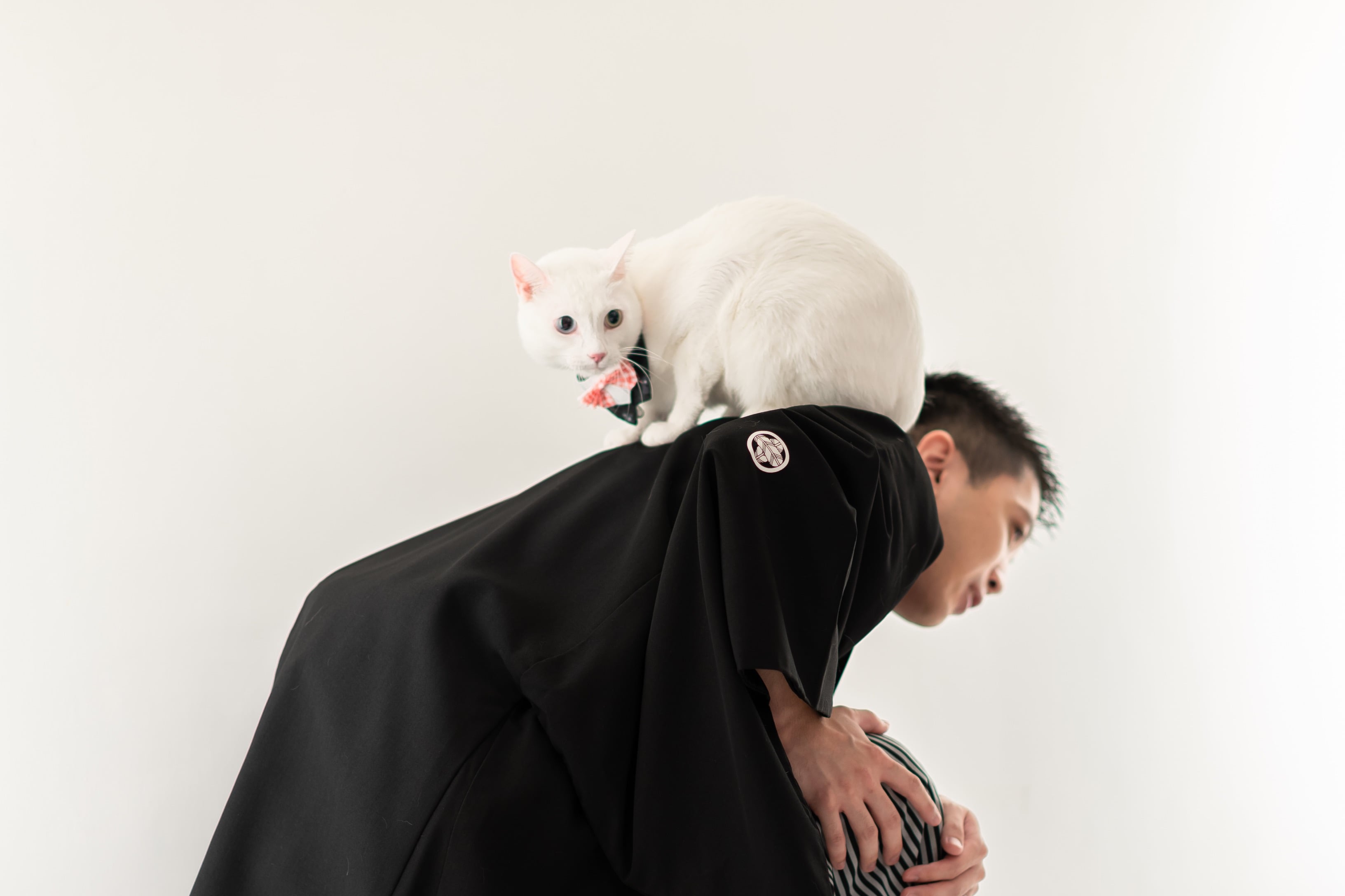 ネコちゃんフォトウエディング特集！！！